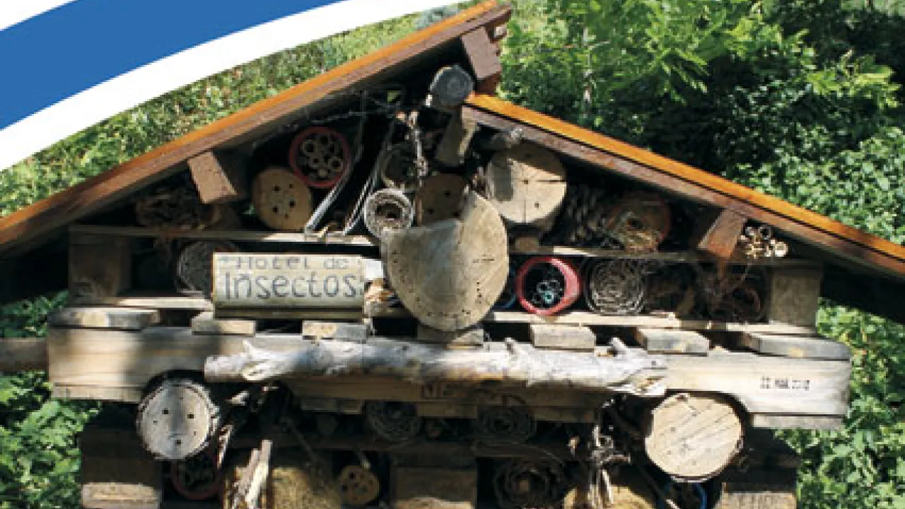 Imagen Hotel de insectos. Observatorio de la biodiversidad.